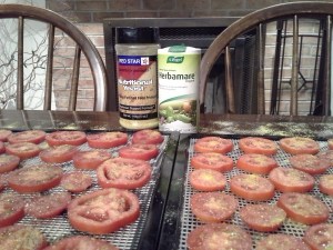 20130917_211051 tomato chips ready for dehydrator, 2